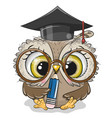 clever owl with pencil and in graduation cap vector image