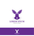 rabbit logo template icon vector image