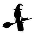 witch with a cat on broomstick for halloween vector image vector image