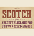 decorative vintage retro typeface font alphabet vector image