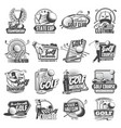 golf sport icons balls clubs tee holes flag vector image vector image