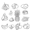 set of different hand drawn fruit vector image