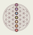 chakra icons on sacred geometry design vector image