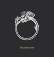 ouroboros in engraving style vector image vector image