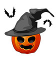 pumpkin in a witch hat and bats isolated on white vector image vector image