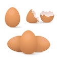 chicken eggs whole and broken vector image