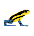 ranitomeya ventrimaculata - reticulated poisonfrog vector image vector image