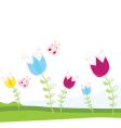 tulips vector image