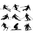 ski driver winter sport silhouette vector image