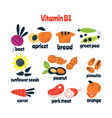 main food sources vitamin b1 healthy vector image