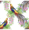 wild pheasant animals birds in watercolor floral vector image vector image
