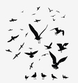 pack of seagulls vector image
