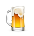 beer glass isolated vector image
