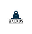 simple minimalist cute walrus seal cartoon mascot vector image