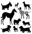 set of dogs silhouettes - scottish terrier vector image