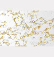 marble with golden texture background vector image vector image