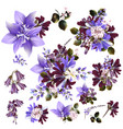 collection or set of realistic field flowers vector image vector image