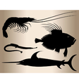 marine life vector image