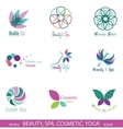 design elements isolated on white background vector image