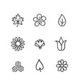 floral icon set flowers and leaves nature line vector image