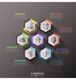 modern infographics options banner vector image