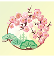 cherry blossom background vector image