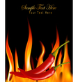 hot chili peppers in fire vector image vector image
