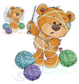 a brown teddy bear holding knitting needle vector image vector image
