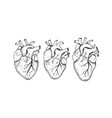 dotwork three human hearts vector image vector image