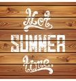 hot summer time calligraphic handwritten vector image vector image