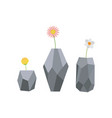 set flowers in vases stylish vase with plants vector image vector image