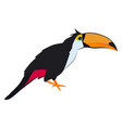 toucan icon exotic wild bird zoo animal vector image