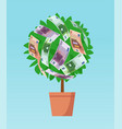 money tree with euro banknotes growing vector image