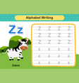 alphabet letter z - zebra exercise with cartoon vector image vector image