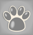 paws vector image vector image
