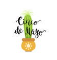with cactus in pot and cinco vector image