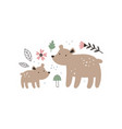 with mother bear cub vector image