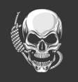 hanged skull vector image