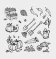 big set hand-drawn garden elements gardening vector image