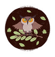 wild cartoon owl on branch grunge card or emblem vector image