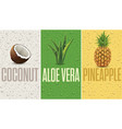 fresh juice drops background with fruits vector image