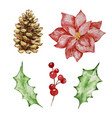 watercolor set of winter floral vector image