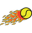 tennis ball flame vector image