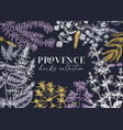 traditional provence herbs banner design frame vector image vector image